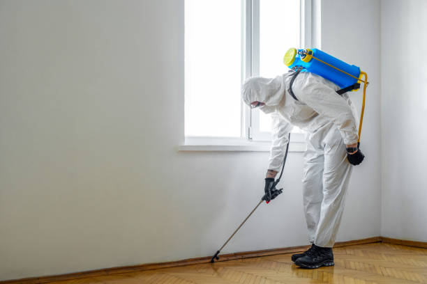 Best Local Pest Control Services  in Astia, OR