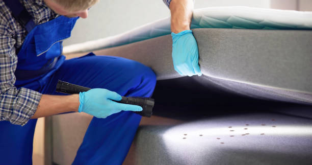 Best Termite Control Services  in Astia, OR