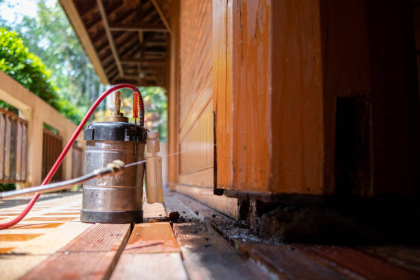 Best Best Pest Control Companies  in Astia, OR